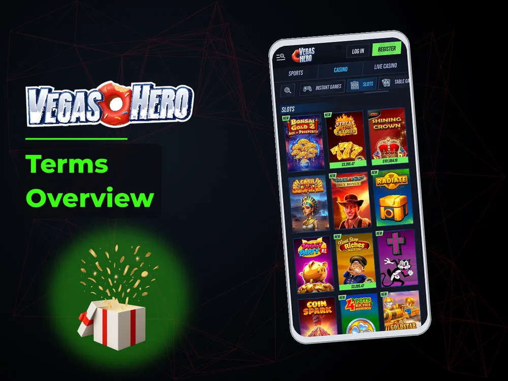 Vegas Hero - Terms Overview